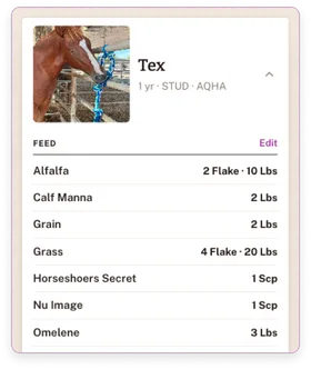 A Barn Doors animal detail for a horse named Tex, with his photo, age and breed, and an editable feed plan listing each feed and amount.