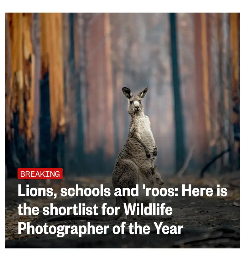 NBC News app layout with full-width hero image